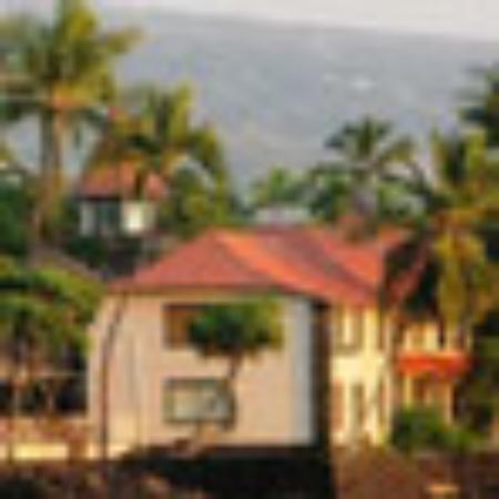 Kolkatha Famous Kathi Rolls